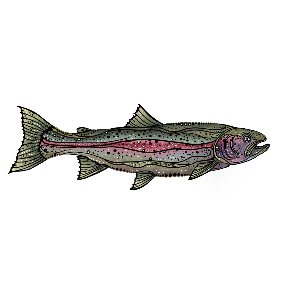 4” Rainbow Trout Stickers
