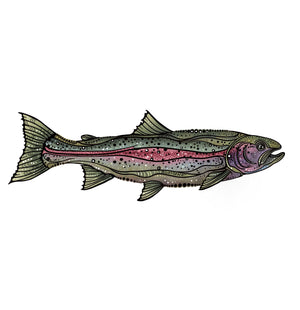 4” Rainbow Trout Stickers
